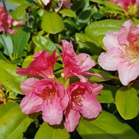 Apartamento Hoffnung *