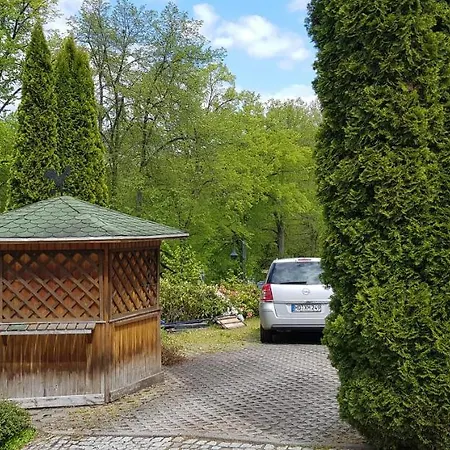 Hoffnung * Bad Elster