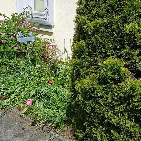 Hoffnung Apartment